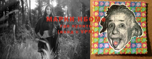 дмт Алзамай