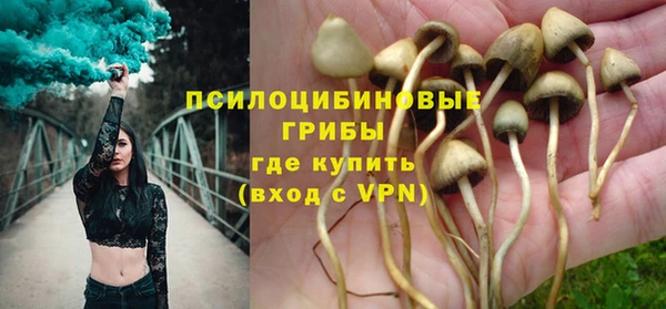 дмт Алзамай