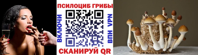 Псилоцибиновые грибы Psilocybine cubensis  купить наркотик  Бердск 